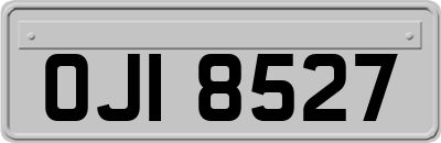 OJI8527