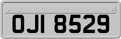 OJI8529