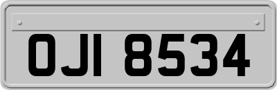 OJI8534