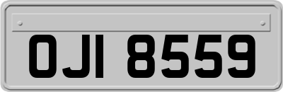 OJI8559