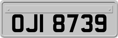 OJI8739