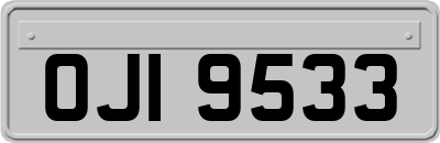OJI9533