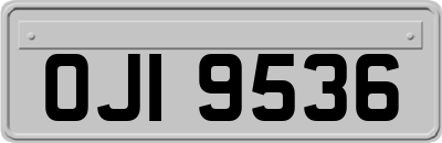 OJI9536