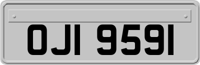 OJI9591