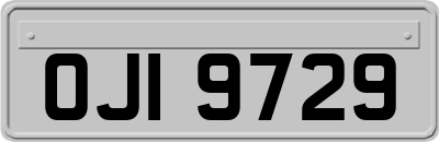 OJI9729