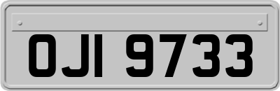 OJI9733
