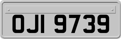 OJI9739