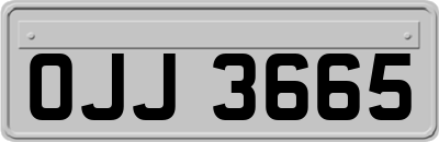OJJ3665