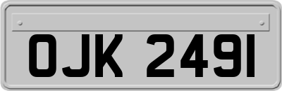 OJK2491