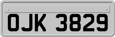 OJK3829