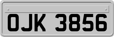 OJK3856