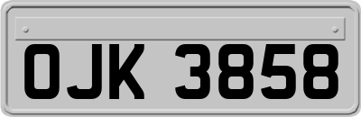 OJK3858