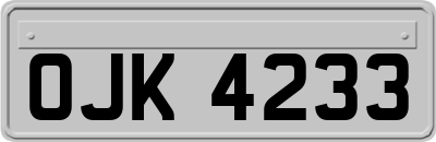 OJK4233