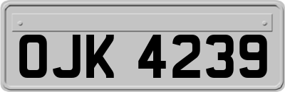 OJK4239