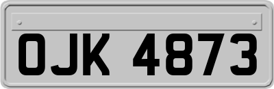 OJK4873