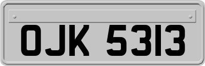 OJK5313