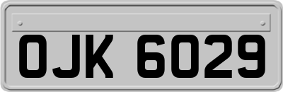 OJK6029