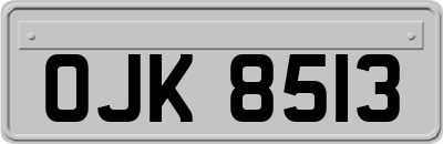 OJK8513