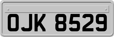 OJK8529
