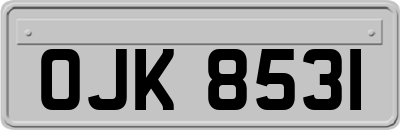 OJK8531