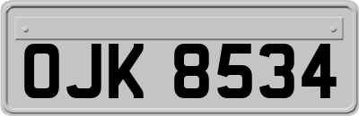 OJK8534