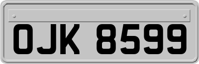 OJK8599