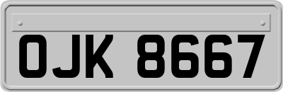 OJK8667