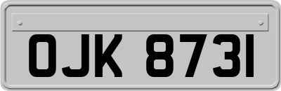OJK8731