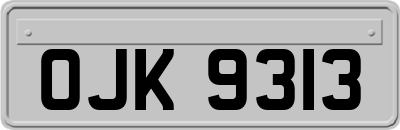OJK9313