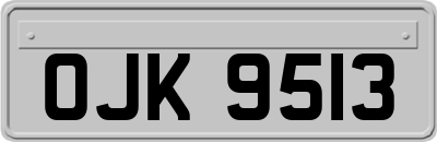OJK9513