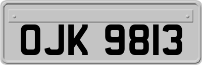 OJK9813