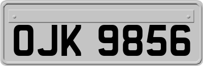 OJK9856