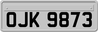 OJK9873