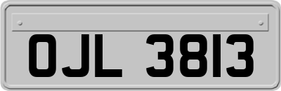 OJL3813