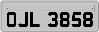OJL3858
