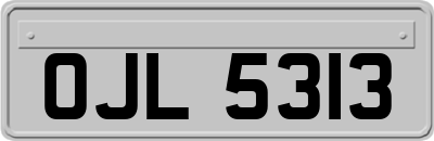 OJL5313
