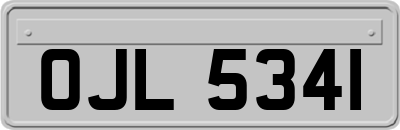 OJL5341