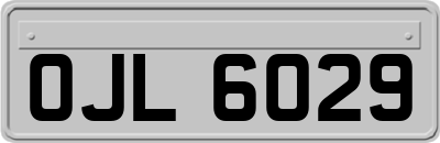 OJL6029