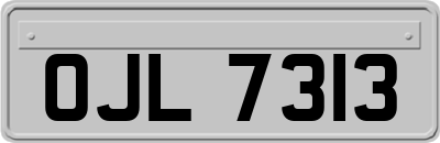 OJL7313