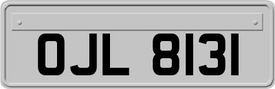 OJL8131