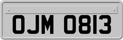 OJM0813