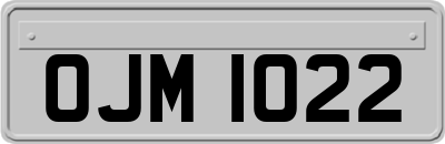 OJM1022