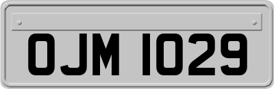 OJM1029