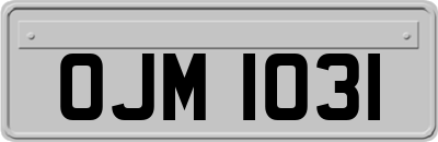 OJM1031