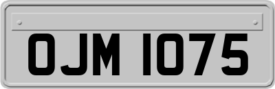 OJM1075