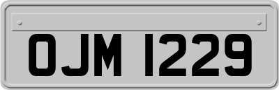 OJM1229