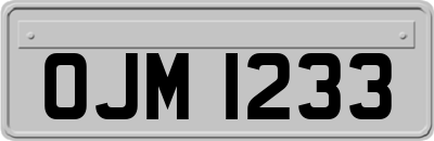 OJM1233