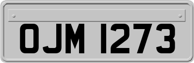 OJM1273