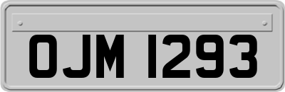OJM1293