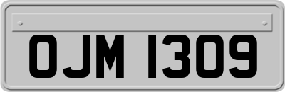 OJM1309